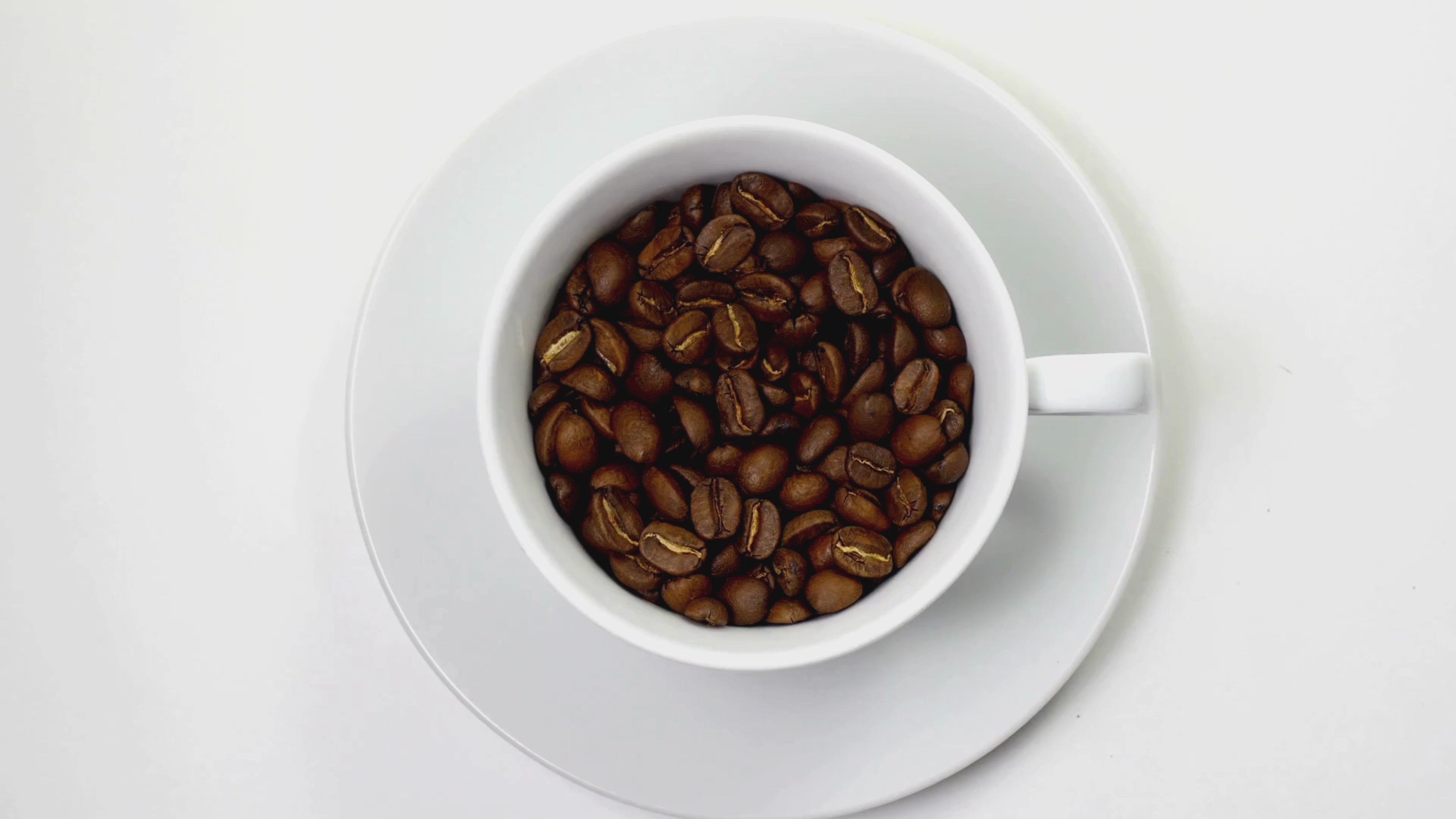 Load video: One-stop for coffee enthusiast